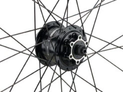 Mountain Alivio Disc 6-Loch DT Swiss 466d 29" Laufradsatz -Fahrradsportgeschäft 399626