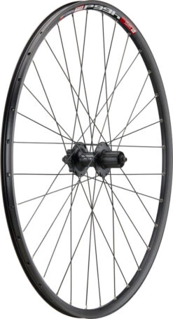 Mountain Alivio Disc 6-Loch DT Swiss 466d 29" Laufradsatz -Fahrradsportgeschäft 399627