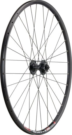Mountain Alivio Disc 6-Loch DT Swiss 466d 29" Laufradsatz -Fahrradsportgeschäft 399632