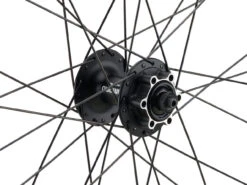 Mountain Alivio Disc 6-Loch DT Swiss 466d 29" Laufradsatz -Fahrradsportgeschäft 399633