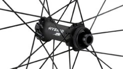 Dt-swiss HEC 1400 SPLINE 47 Carbon Boost Disc CL Hybrid 28" Laufradsatz 10 Dt-swiss HEC 1400 SPLINE 47 Carbon Boost Disc CL Hybrid 28" Laufradsatz -Fahrradsportgeschäft 437026